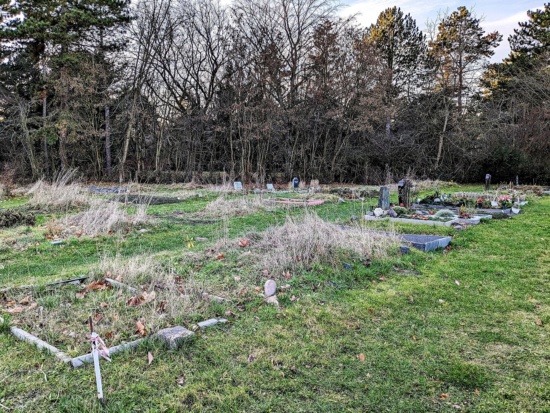 Muslimisches Gräberfeld auf dem Ostfriedhof in Leipzig mit Rasenflächen und einzelnen Grabsteinen
